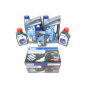 Kit de mantenimiento Suzuki DF225 100h-1