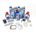 Kit de mantenimiento Suzuki DF250 100h-10