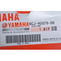 Kit de impulsor Yamaha F40