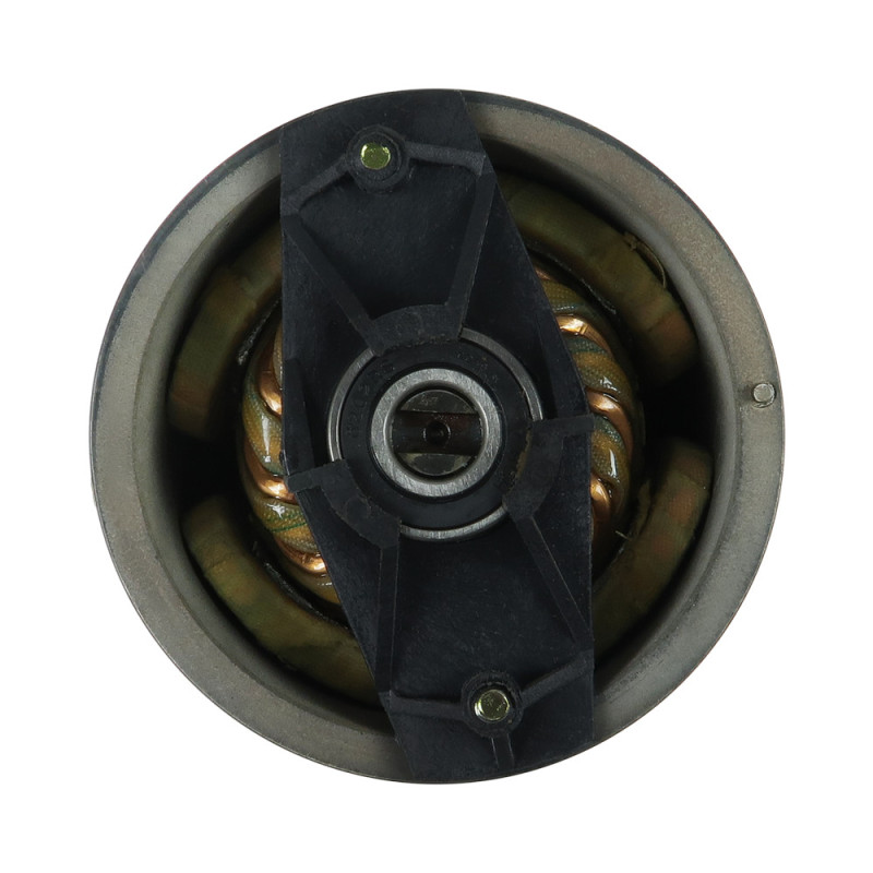 Moteur électrique ANTHONY Various Models