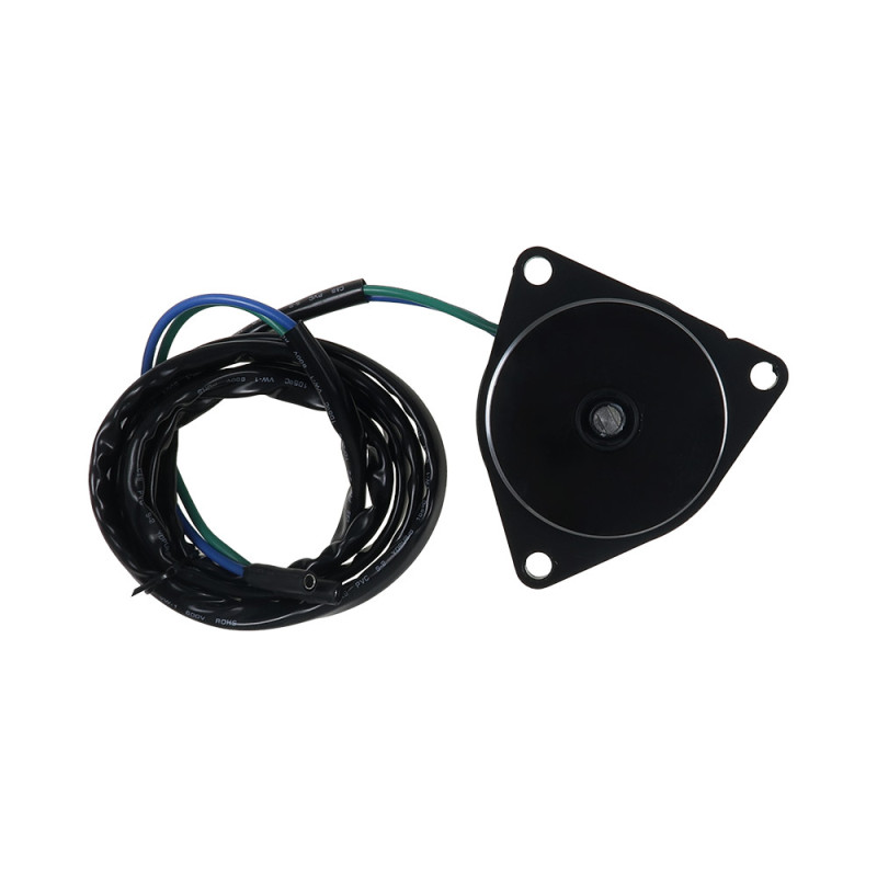 Moteur électrique Yamaha Engine