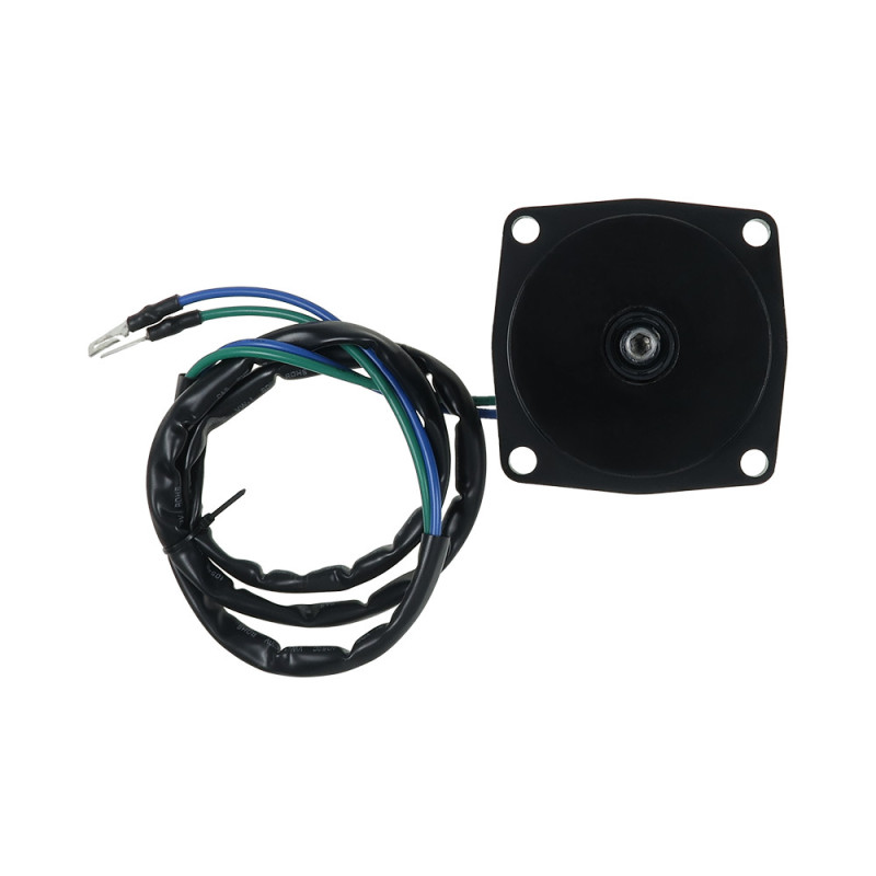 Moteur électrique JOHNSON J40TEC